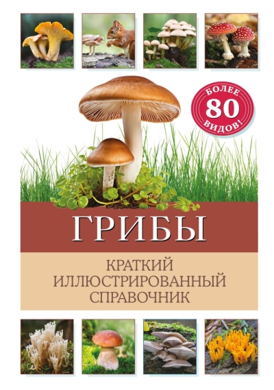 Грибы. Краткий  иллюстрированный справочник