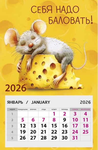 Себя надо баловать! Календарь на магните отрывной на 2026 год