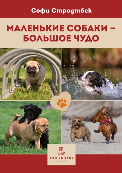 Маленькие собаки – большое чудо