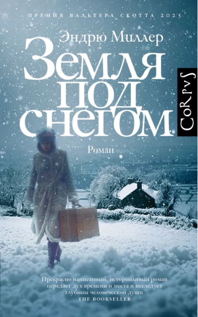 Земля под снегом