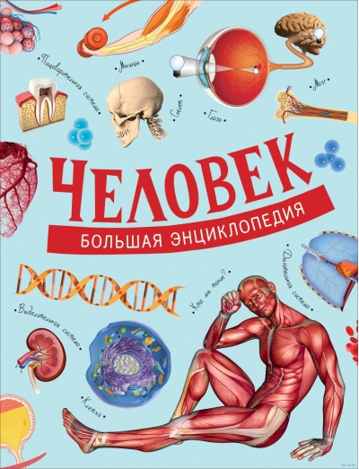 Человек. Большая энциклопедия