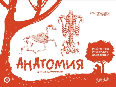 Анатомия для художников. Экспресс-курс + скетчбук