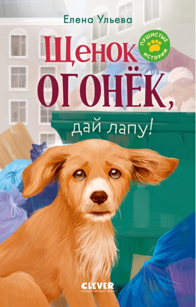 Щенок Огонек, дай лапу!