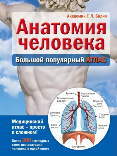 Анатомия человека: большой популярный атлас