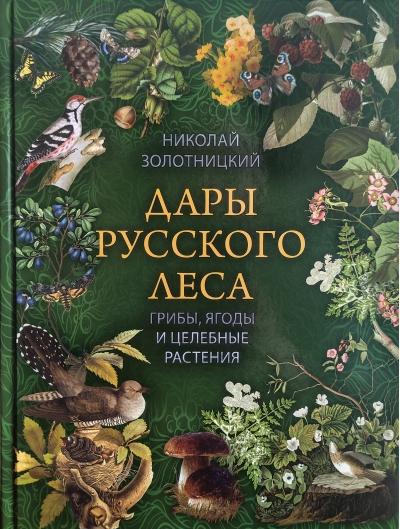 Дары русского леса. Грибы, ягоды и целебные растения
