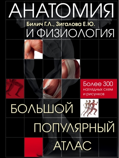 Анатомия и физиология. Большой популярный атлас