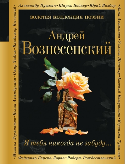 Я тебя никогда не забуду...