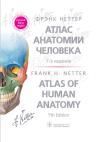 Атлас анатомии человека