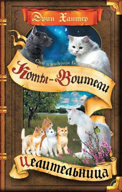 Сны и видения Бабочки. Книга 2. Целительница
