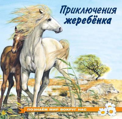 Познаем мир вокруг нас. Приключения жеребенка
