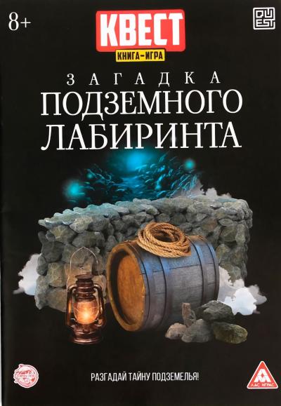 Книга-квест. Загадка подземного лабиринта. Разгадай тайну подземелья