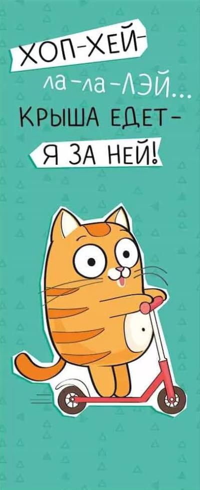 Магнитная закладка. Крыша едет - я за ней!