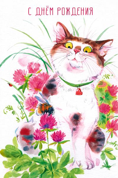 Открытка. С Днем Рождения. Котик с сердечком