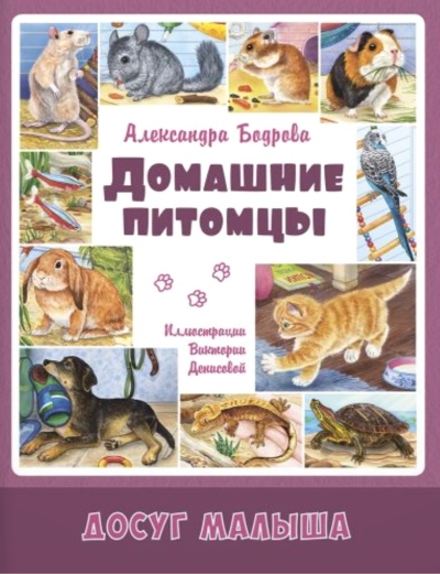 Домашние питомцы