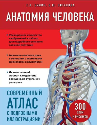 Анатомия человека. Современный атлас с подробными иллюстрациями