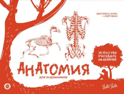 Анатомия для художников. Экспресс-курс + скетчбук