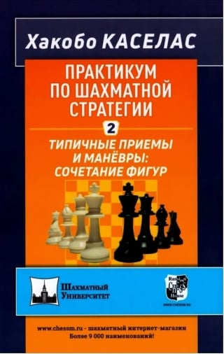 Практикум по шахматной стратегии 2. Типичные приёмы и манёвры: сочетание фигур