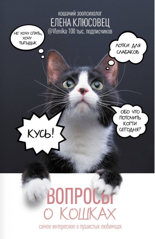 Вопросы о кошках. Самое интересное о пушистых любимцах