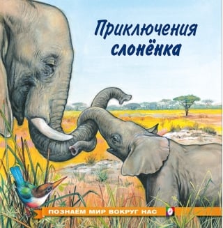 Познаем мир вокруг нас. Приключения слоненка