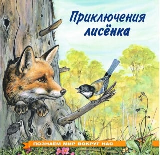 Познаем мир вокруг нас. Приключения лисенка