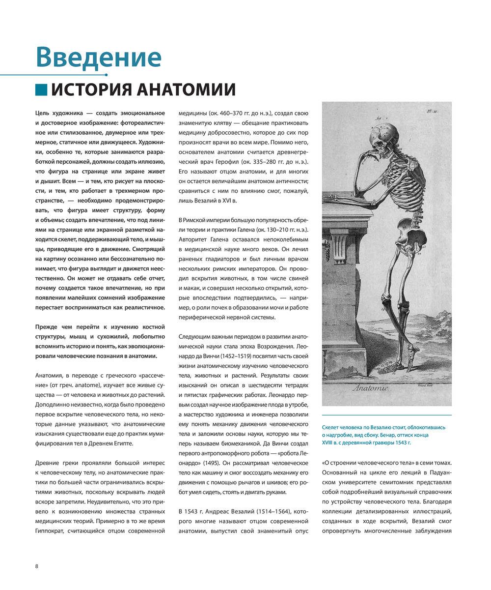Фигура человека для художника. Большая книга анатомии, референсов и ...