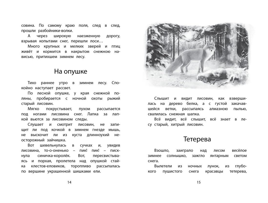 Год в лесу. Рассказы о природе - Книжный интернет-магазин Kniga.lv Polaris
