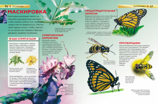 Insects. Children's encyclopedia