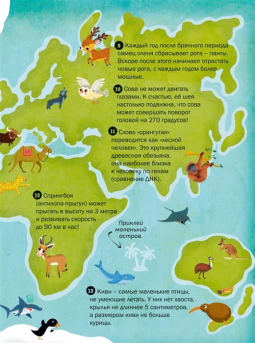 100 interesting facts. Animals