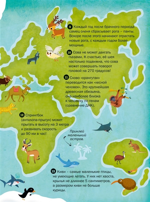 100 interesting facts. Animals - Book online store  Polaris