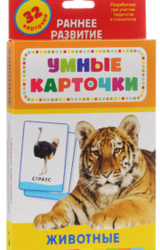 Animals. Educational cards