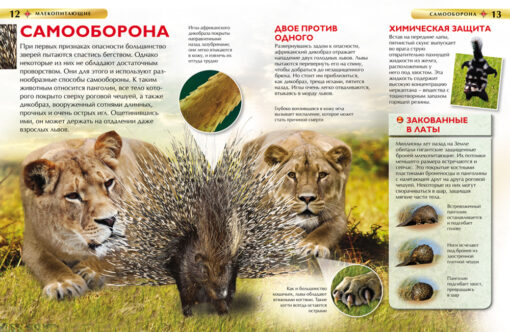 Mammals. Children's encyclopedia