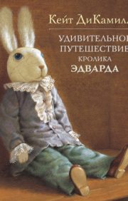 The Amazing Journey of Edward Rabbit