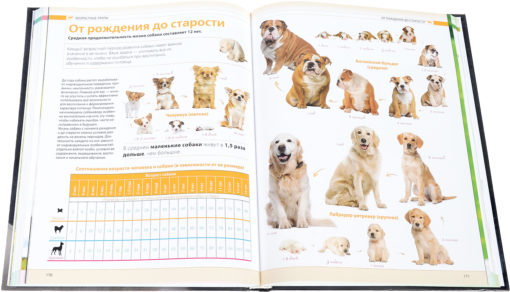 Dogs. Gift illustrated encyclopedia