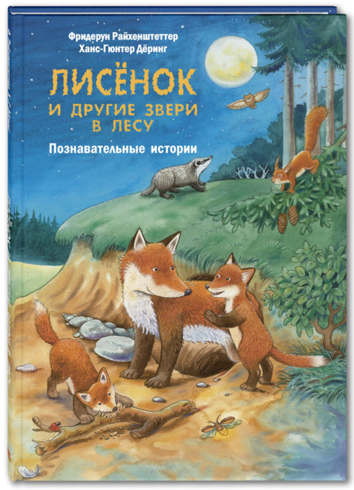 Fox cub and other animals in the forest. educational stories