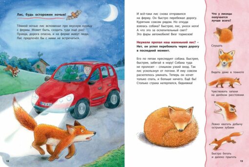 Fox cub and other animals in the forest. educational stories