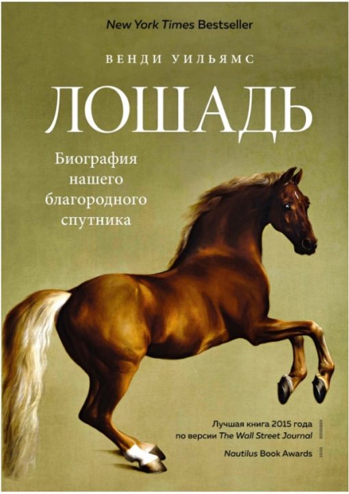 Horse. Biography of our noble companion