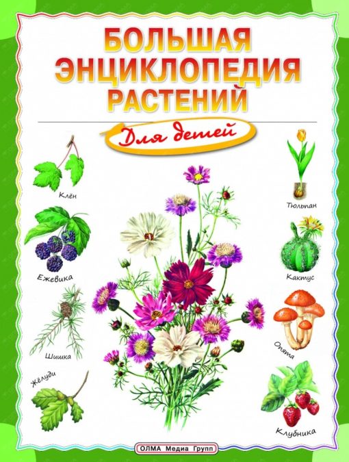 Big encyclopedia of plants for children