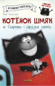Kitten Shmyak and Syrnik - friends forever
