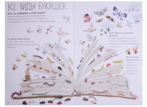 Lielā kukaiņu grāmata