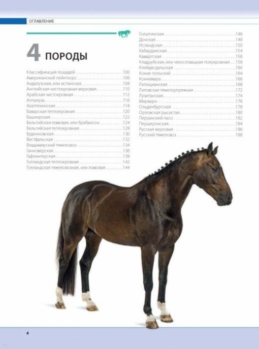 Horses. The most complete illustrated encyclopedia
