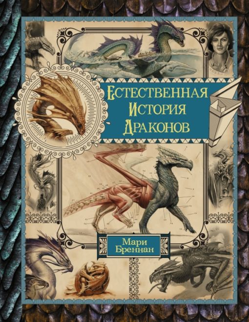 Natural history of dragons