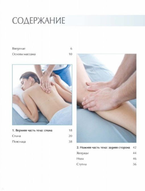 Massage Anatomy. Step by step illustrated course for beginners
