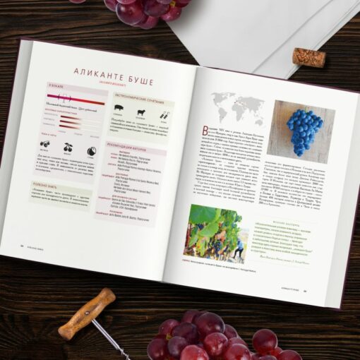 Красное вино. Комплексное руководство по 50 сортам и стилям