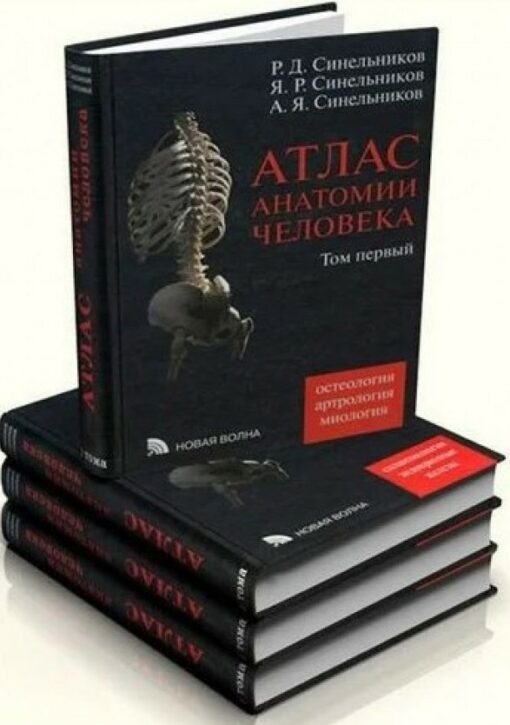 Атлас анатомии человека. В 4 томах