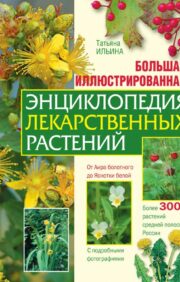 Lielā ilustrētā ārstniecības augu enciklopēdija
