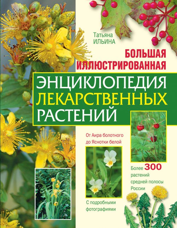 The Big Illustrated Encyclopedia of Medicinal Plants Book online store  Polaris