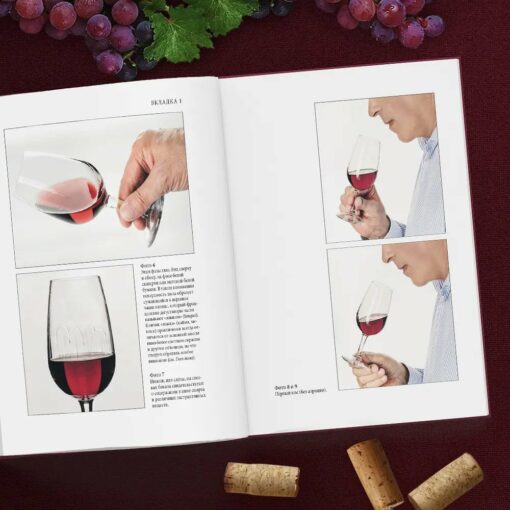 Table book taster. Everything you need to know for both the professional and the lover of wine and brandy