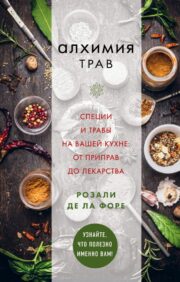Alchemy of herbs. Spices and herbs in your kitchen: from condiments to medicine