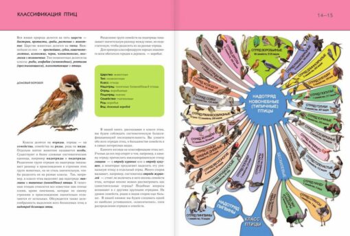 Birds. The complete encyclopedia