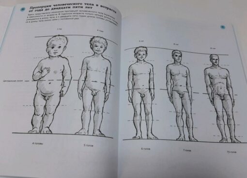 Anatomy for artists. Practical course